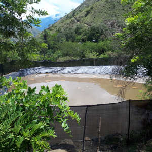 Laguna estabilización lodos